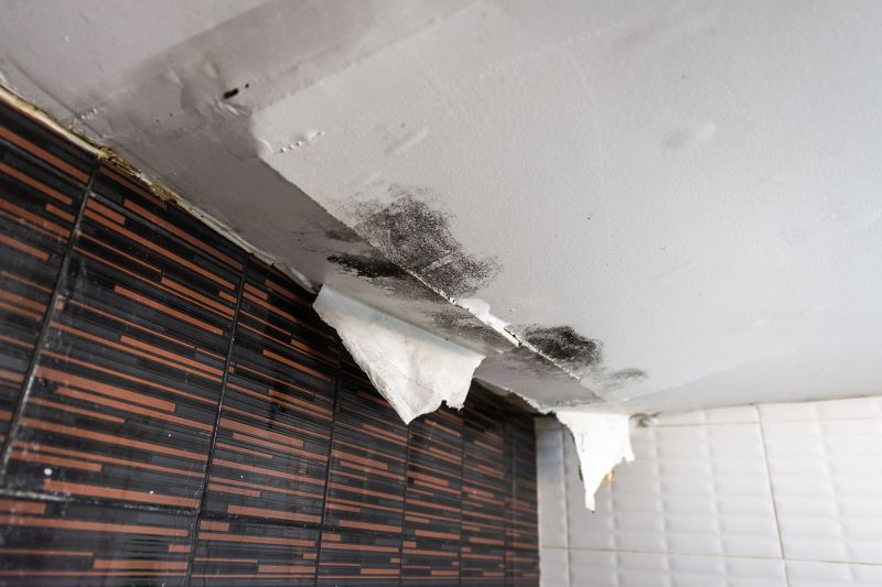Attic Water Damage Repair in Houston, TX