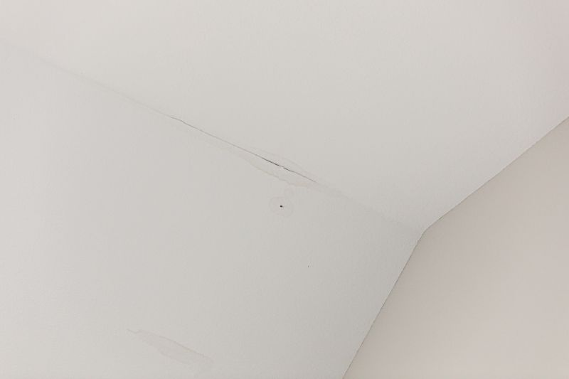 Attic Water Damage Repair in Conroe, TX