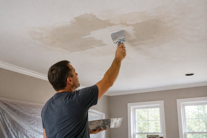 Attic Water Damage Repair in Santa Rosa, CA