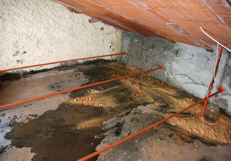 Attic Water Damage Repair in Charleston, SC