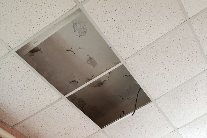 Ceiling Removal Service in Houston, TX