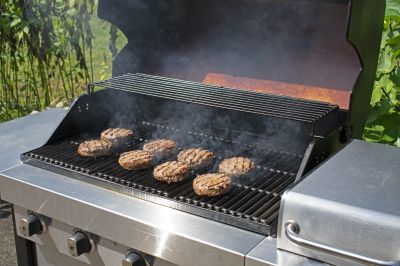Products For Grill Assemblies in use