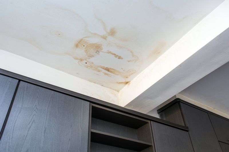Water Damage Ceiling Repair in Conroe, TX